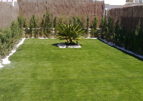 Proyecto Verde