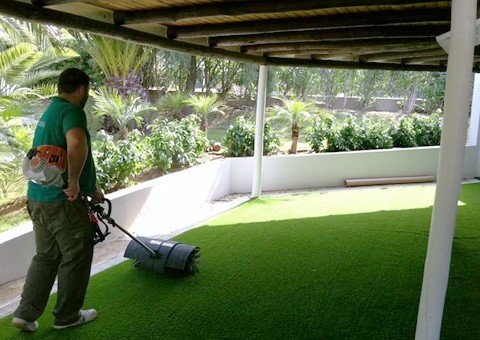 Proyecto Verde