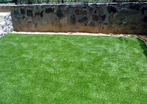 Proyecto Verde