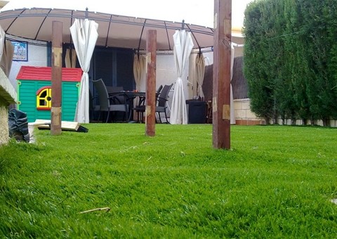 Proyecto Verde