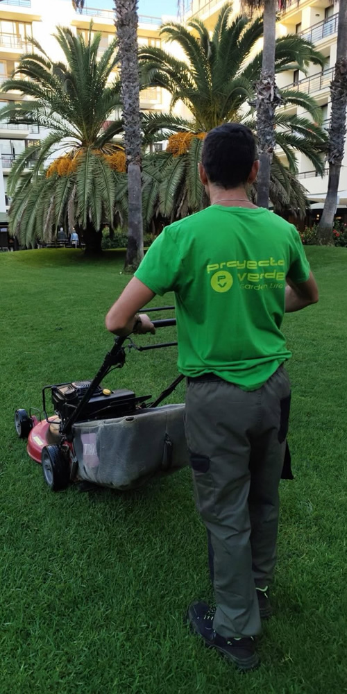 Proyecto Verder Garden Life