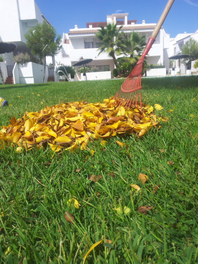 Mantenimiento de jardines para comunidades en Huelva