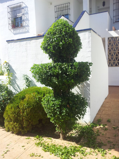 Mantenimiento de jardines para comunidades en Huelva