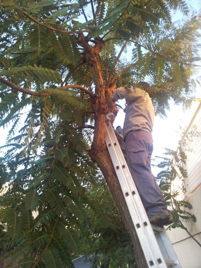 Mantenimiento de jardines para comunidades en Huelva
