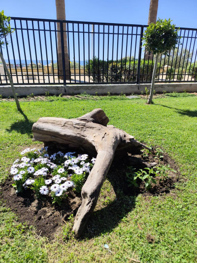 Paisajismo y mejora de zonas verdes en Huelva