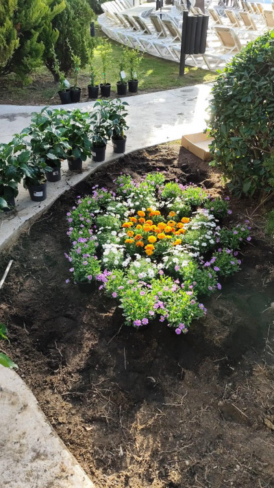 Paisajismo y mejora de zonas verdes en Huelva