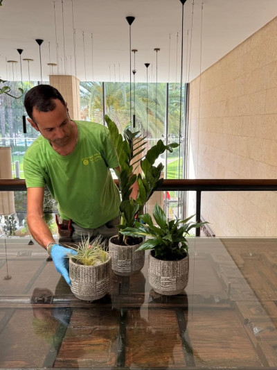 Paisajismo y mejora de zonas verdes en Huelva