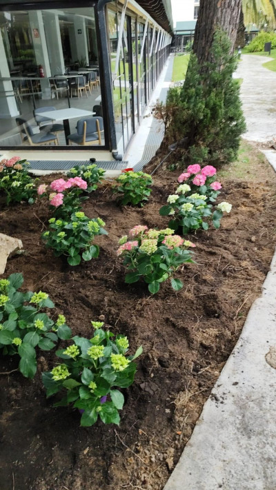 Paisajismo y mejora de zonas verdes en Huelva