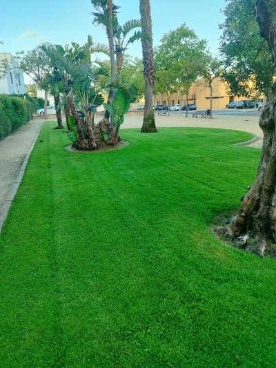 Jardinería, socorrismo y control de accesos en Estival Isla Cristina